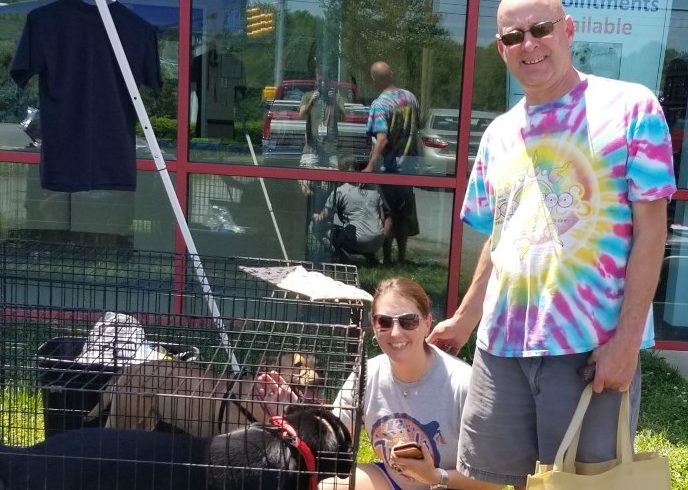 PetSence Adoption Event Recap – One big boy found his forever home!