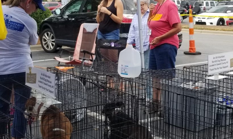 RECAP – Adoption Event – Sept 8th – PetSmart in Raleigh