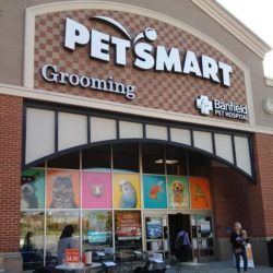 PetSmart Adoption Event – Saturday August 19th – Patterson Place – Durham, NC