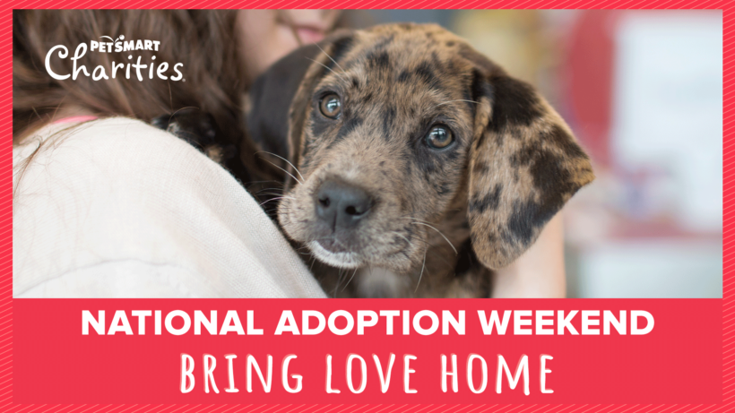 PetSmart National Adoption Weekend – February 23rd – Durham