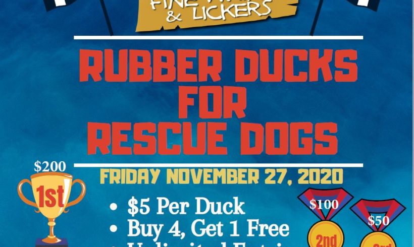 Rubber Ducks for Rescue Dogs Race