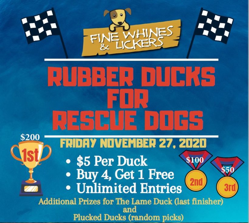 Rubber Ducks for Rescue Dogs Race