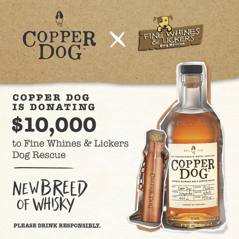A Wonderful Donation from Copper Dog