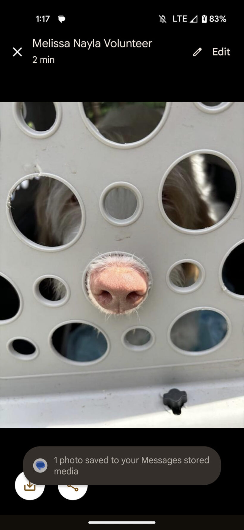 Low Cost Spay and Neuter Clinic – July 9th, 2025